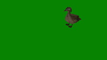 a cartoon duck is running on a green screen .