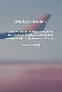 a picture of an airplane with the words bye bye insecurity below it