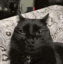 a black cat is laying on a white blanket with a leopard print