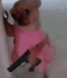 a small dog wearing a pink dress is holding a gun in its mouth .