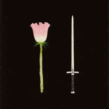 a drawing of a flower and a sword on a black background with the sword having the letter t on it