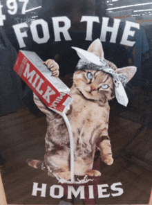 a cat with a bandana on its head is pouring milk from a carton that says milk