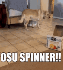 a dog is standing next to a box that says osu spinner