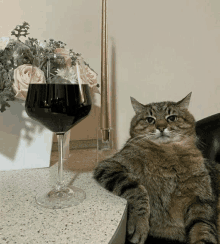 a cat sits next to a glass of wine on a table