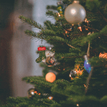 a close up of a christmas tree with a noel ornament