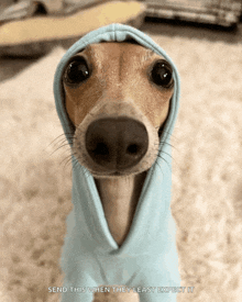 a dog wearing a blue hoodie with the words send this when they least expect it below it