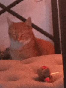 a cat is laying on a bed with a toy in the background