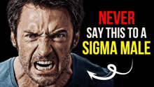 an angry man with the words never say this to a sigma male on the bottom