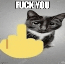 a black and white cat with a yellow middle finger and the words " fuck you " on the bottom