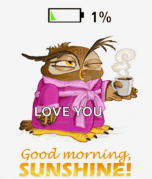 an owl in a bathrobe is holding a cup of coffee with the words " love you good morning sunshine "