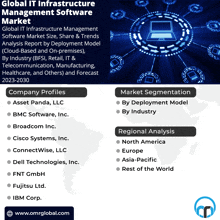 a global it infrastructure management software market analysis report