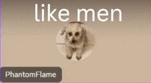 a picture of a dog and the words like men