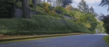 a road with a house in the background and a hedge on the side of it