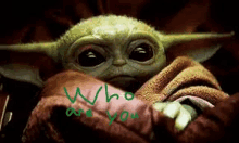 a close up of a baby yoda wrapped in a blanket with the words `` who are you '' written on it .