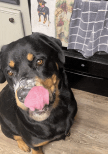 a black and brown dog with a pink tongue licking its nose