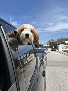 a dog sticking its head out of the window of a car in front of a pods store