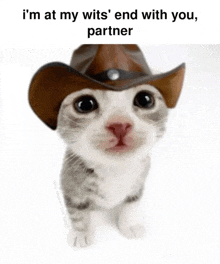 a cat wearing a cowboy hat with the caption " i 'm at my wits ' end with you , partner "