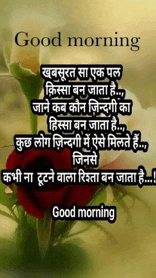 a good morning in hindi with a red rose in the background