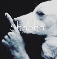 a dog is making a shhh sign with its finger