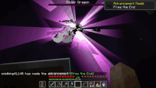 a screenshot of a video game shows ender dragon