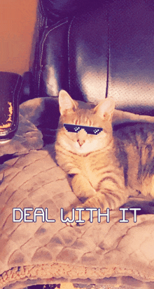 a cat wearing sunglasses is laying on a couch with the words deal with it written below it