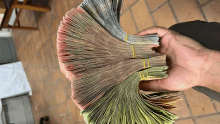 a person holding a bunch of money in their hands