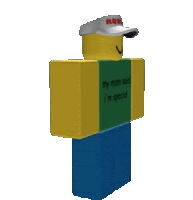 a roblox character wearing a hat and a green shirt that says my mom said i 'm special