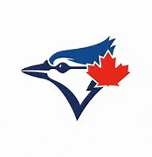 a blue jay with a red maple leaf in its beak .