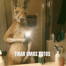 a kangaroo is taking a picture of itself in a bathroom mirror with the words tirar umas fotos below it