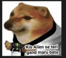 a dog is wearing a ben 10 watch and has the words kis alien se teri gand maru bata written on it .