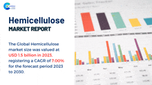 the global hemicellulose market size was valued at usd 1.5 billion in 2023 according to the hemicellulose market report