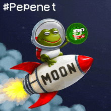 a frog is flying on a rocket with the word moon on it