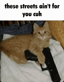 a cat is laying on a towel holding a gun with the caption these streets ain t for you cuh