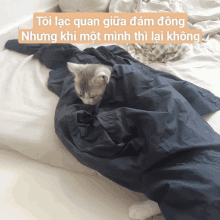 a kitten wrapped in a black blanket with a foreign language caption