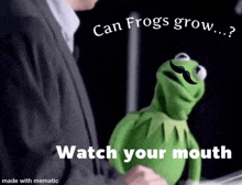 kermit the frog has a mustache and says " can frogs grow "