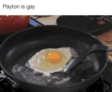 a frying pan with a fried egg and the words payton is gay on the bottom