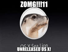 a picture of a seal with the words zomg !!! 11 on it