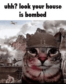 a cat wearing a helmet is standing in front of a painting of a house being bombed .