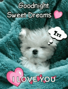 a puppy is sleeping under a blanket with the words goodnight sweet dreams i love you on the bottom