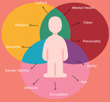 a diagram showing a person 's personality abilities and gender identity