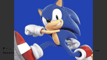 a screenshot of a sonic the hedgehog video game