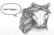 a drawing of a horse with a speech bubble that says " how hungry "