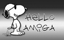 a black and white cartoon of snoopy wearing sunglasses and the words `` hello amigo '' .