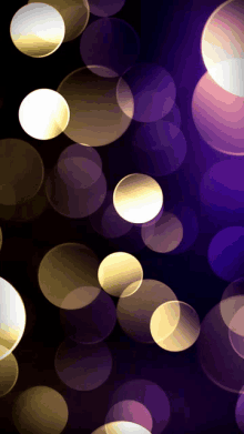 purple and gold circles on a black background with a few white circles in the middle