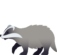 a badger walking on a white background with a black tail