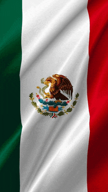 a close up of a mexican flag with an eagle and snake on it