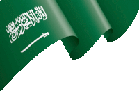 a green flag with arabic writing on it is waving in the wind