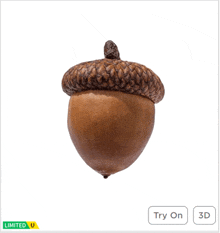 a 3d model of an acorn with a limited u label