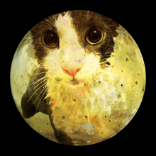 a painting of a cat 's face in the shape of a full moon