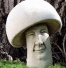 a statue of a mushroom with a face on it is sitting in the grass next to a tree .